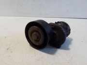 Riemenspanner VW CRAFTER Furgon (SY_) 2.0 TDI RWD 038903315AN