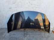 Motorhaube CITROËN C3 I (FC_) 1.4 16V