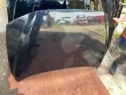 Motorhaube Volvo S60 I (384)