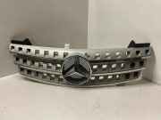 Vorderer oberer Gitter MERCEDES-BENZ M (W164) ML 320 CDI 4-matic (164.122) A1648800685