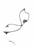 ABS-Sensor vorne rechts TOYOTA VERSO (_R2_) 2.2 D-CAT (AUR21_) 8954202061