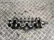 Kurbelwelle TOYOTA COROLLA Verso (ZER_, ZZE12_, R1_) 2.0 D-4D (CUR10_)