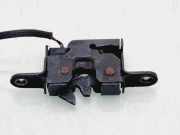 Motorhaubenschloss RENAULT SCÉNIC III (JZ0/1_) 1.5 dCi 656010010R