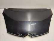 Motorhaube CITROËN C4 Picasso I (UD_) 2.0 HDi 138
