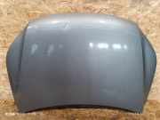 Motorhaube VW TIGUAN (5N_) 2.0 TDI 4motion