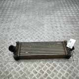 Ladeluftkühler FORD TRANSIT V363 Van (FCD, FDD) 2.0 EcoBlue GK21-6K775-AE