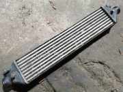 Ladeluftkühler FIAT DOBLO Cargo (223_) 1.3 JTD 16V Multijet 866455500