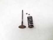 Auslassventil Nissan Murano I (Z50)