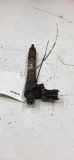 Einspritzdüse FORD MONDEO V Sedan 2.0 TDCi 0445115087
