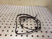 Kabelbaum KIA RIO Sedan (DC_) 1.5 16V 962201W500