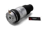 Gasdruckfeder Porsche Cayenne 1 (9PA) 95535840421