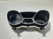 Kombiinstrument FORD KUGA II (DM2) 2.0 TDCi 4x4 DV4T10849MG