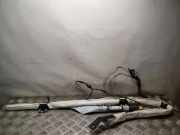 SRS Modul Dach links MINI COOPER (R56) Cooper S A17320447020 13B298AA10450