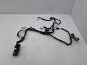 Türverkabelung hinten rechts CITROËN C4 II (B7) 1.6 HDi 110 9806361880