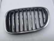 Vorderer oberer Gitter BMW 7 (F01, F02) 730 d 51137295297
