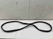 Dichtung für Koffer-/Laderaumklappe Mini Mini Clubman (F54)