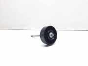 Riemenspanner BMW X5 (E70) 3.0 d