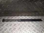 Gasfeder für Motorhaube Mercedes-Benz SLK (R172) 1729800064