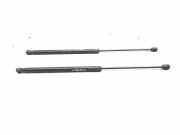 Heckklappe Gasdruckfeder links SKODA OCTAVIA II Combi (1Z5) 1.6 2483ZJ