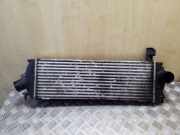 Ladeluftkühler RENAULT TRAFIC II Furgon (FL) 2.0 dCi 90 (FL0H)