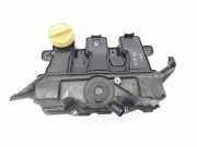 Ansaugbrücke RENAULT MEGANE III Hatchback (BZ0_) 1.6 dCi (KZ00, KZ12) 118305906R