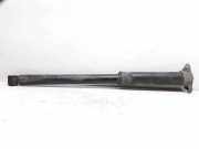 Stoßdämpfer hinten links