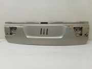 Heckklappe geschlossen BMW X5 (E53) 18116U032B