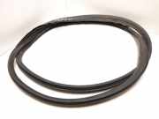 Türgummi links vorne Volvo C30 (533)