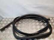 Türdichtung vorne rechts