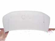 Motorhaube VW TRANSPORTER V (T5) Furgon 2.0 TDI