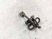 Türanschlag hinten links