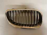 Vorderer oberer Gitter BMW 5 Touring (E61) 530 d 51137027062