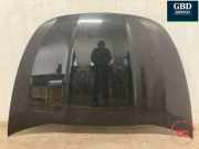 Motorhaube Citroen DS5 () 1626194280