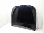 Motorhaube BMW 5 (F10) 530 d 41617207194 7207194