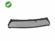 Gitter vorne unten MERCEDES-BENZ SLK (R171) 200 Kompressor (171.442) A1718850123