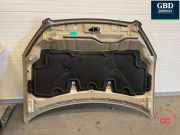 Motorhaube Nissan Qashqai (J10) F5100BR0MC