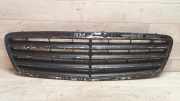 Vorderer oberer Gitter MERCEDES-BENZ C (W203) C 220 CDI (203.008) A2038800223