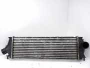 Ladeluftkühler RENAULT TRAFIC III Furgon (FG_) 1.6 dCi 115 8200411160