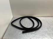 Türgummi links vorne BMW 5er (E60)