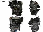 Motor ohne Anbauteile (Benzin) Hyundai Kona I (OS, OSE, OSI) G4LE