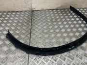 Verbreiterungssatz Kotflügel links vorne BMW X6 (E71, E72) 7176235