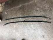 Dachreling links BMW X1 (F48) sDrive 18 d 7356436