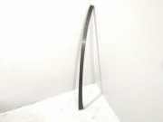 Dachleiste links MERCEDES-BENZ E (W211) E 320 CDI 4-matic (211.089) A2116981298 2116981298