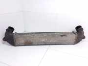 Ladeluftkühler Fiat Doblo Van (119, 223) 46779532