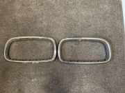 Vorderer oberer Gitter BMW X5 (F15, F85) xDrive 30 d 7309775 7308660