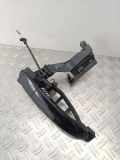 Türaußengriff hinten links FORD S-MAX (WA6) 2.0 TDCi