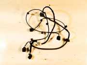 Kabelbaum Hinteren Parksensoren AUDI A6 (4F2, C6) S6 quattro 4F9971085