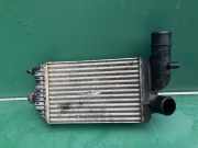 Ladeluftkühler Fiat Ducato Pritsche (290) 1307012080