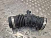 Luftansaugrohr RENAULT KADJAR (HA_, HL_) 1.6 dCi 130