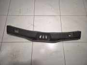 Zierleiste Ford S-Max II (CJ, WA6)